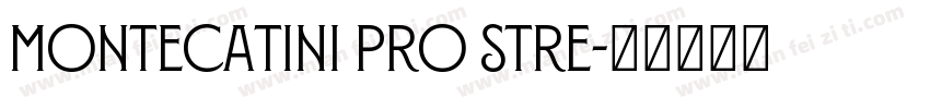 Montecatini Pro Stre字体转换